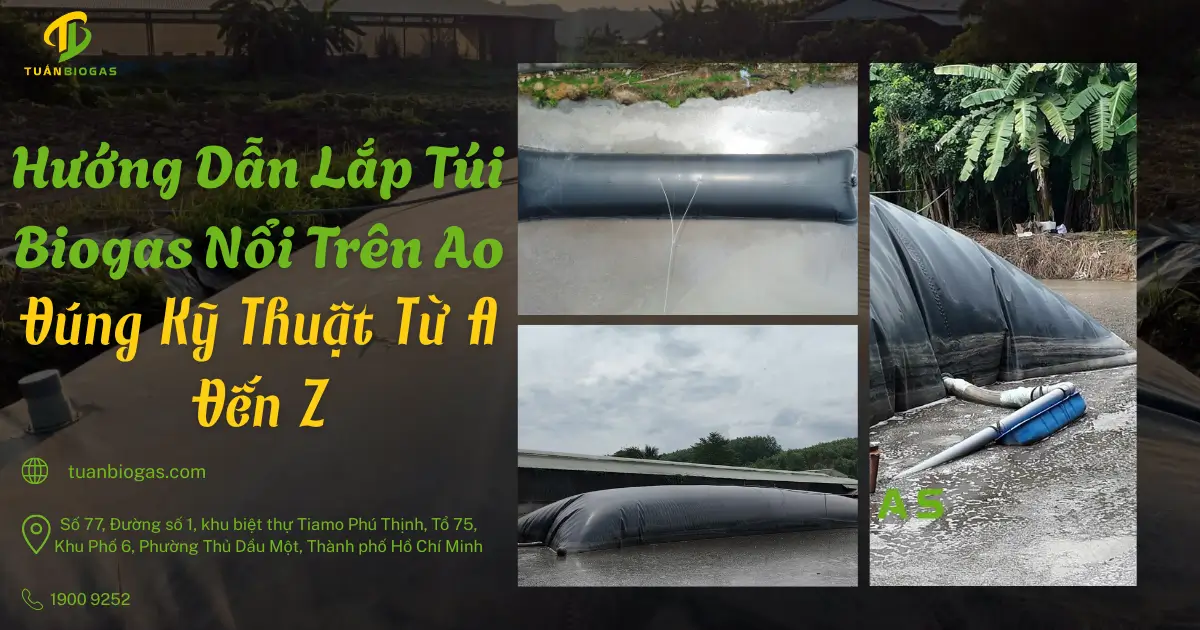 Hướng Dẫn Lắp Túi Biogas Nổi Trên Ao Đúng Kỹ Thuật Từ A Đến Z